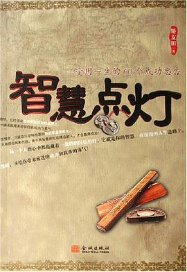 智慧点灯 pdf epub mobi 电子书 下载