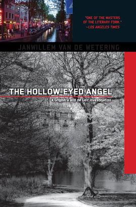 Hollow-Eyed Angel pdf epub mobi 电子书 下载