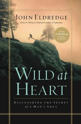 Wild at Heart （我心狂野） pdf epub mobi 电子书 下载