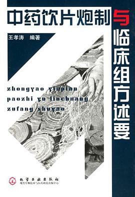 中药饮片炮制与临床组方述要 pdf epub mobi 电子书 下载