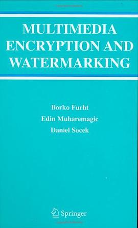 Multimedia Encryption and Watermarking pdf epub mobi 电子书 下载