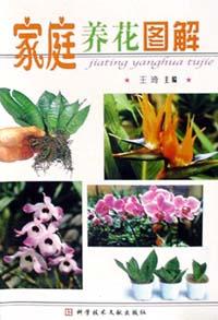 家庭养花图解 pdf epub mobi 电子书 下载