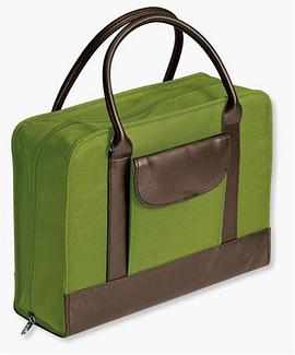 Bible Study Organizer Chartreuse with Leather-Look Accents pdf epub mobi 电子书 下载