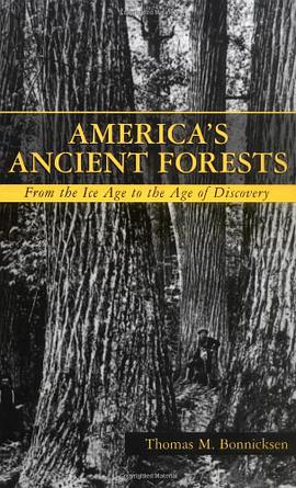 America's Ancient Forests