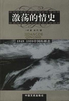 激荡的情史 pdf epub mobi 电子书 下载