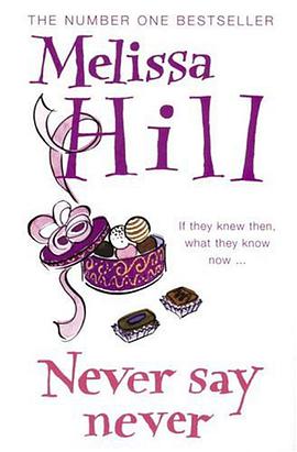 Never Say Never pdf epub mobi 电子书 下载