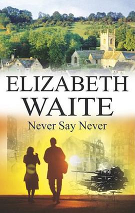 Never Say Never pdf epub mobi 下载