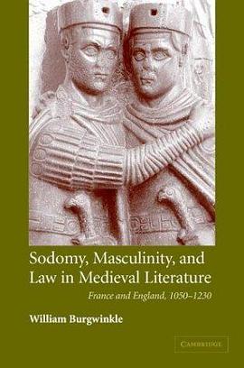 Sodomy, Masculinity and Law in Medieval Literature pdf epub mobi 电子书 下载