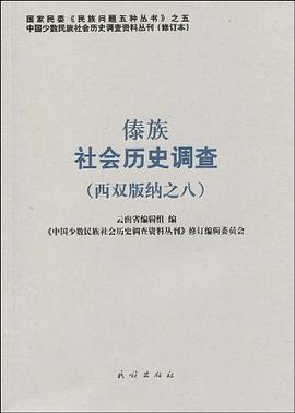 傣族社会历史调查