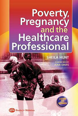 Poverty, Pregnancy and the Healthcare Professional pdf epub mobi 下载