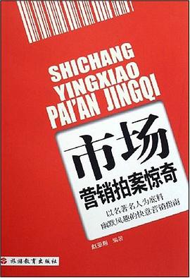 市场营销拍案惊奇 pdf epub mobi 电子书 下载