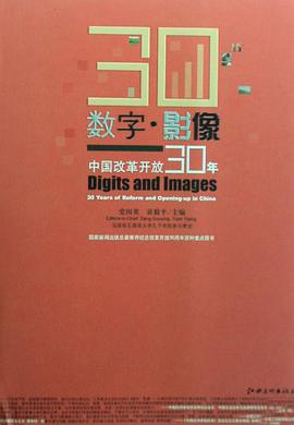 数字.影像-中国改革开放30年 pdf epub mobi 电子书 下载