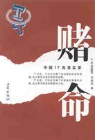 中国IT反思实录 pdf epub mobi 电子书 下载