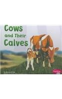 Cows and Their Calves