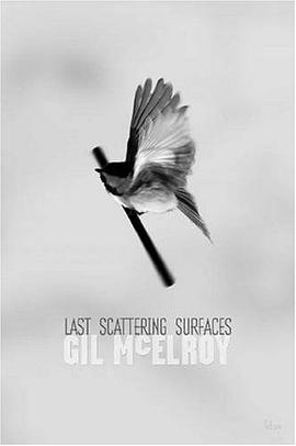 Last Scattering Surfaces pdf epub mobi 电子书 下载