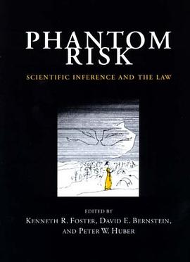 Phantom Risk pdf epub mobi 电子书 下载