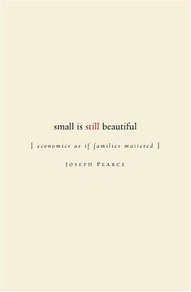 Small is Still Beautiful pdf epub mobi 电子书 下载