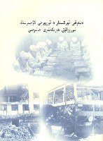 “东突”势力恐怖活动录 pdf epub mobi 电子书 下载