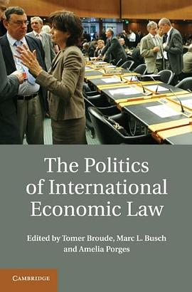 The Politics of International Economic Law pdf epub mobi 电子书 下载