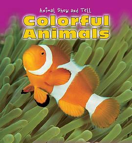 Colorful Animals