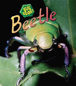 Beetle pdf epub mobi 电子书 下载