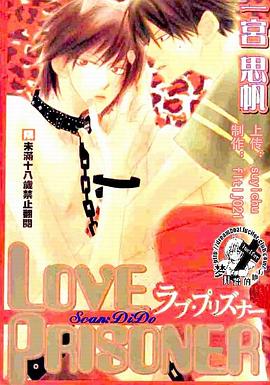love prisosner pdf epub mobi 电子书 下载