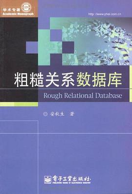 粗糙关系数据库 pdf epub mobi 电子书 下载