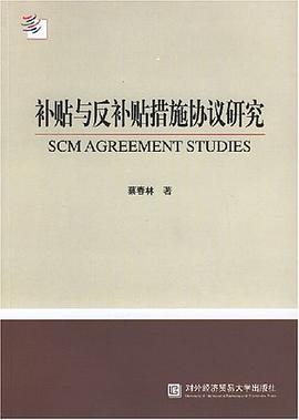 补贴与反补贴措施协议研究 pdf epub mobi 电子书 下载