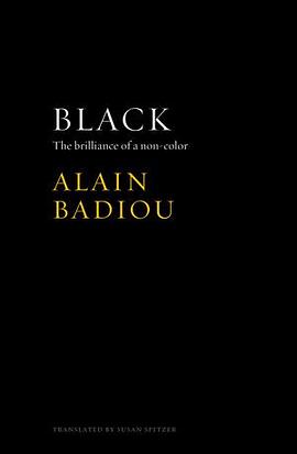 Black: The Brilliance of a Non-Color pdf epub mobi 电子书 下载