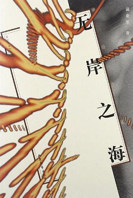 无岸之海 pdf epub mobi 电子书 下载