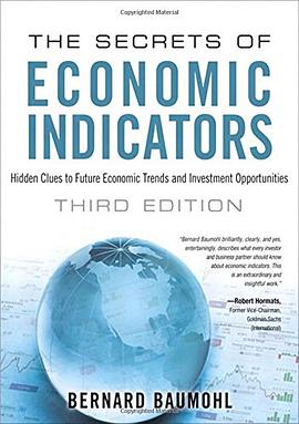 The Secrets of Economic Indicators pdf epub mobi 电子书 下载