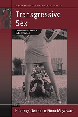 Transgressive Sex pdf epub mobi 电子书 下载