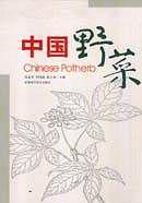中国野菜 pdf epub mobi 电子书 下载
