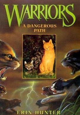 A Dangerous Path pdf epub mobi 电子书 下载