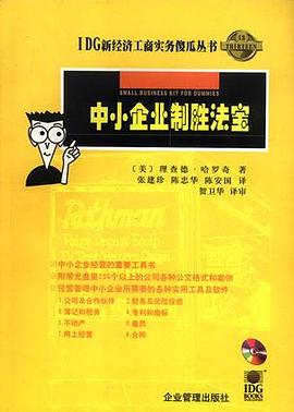 中小企业制胜法宝 pdf epub mobi 下载