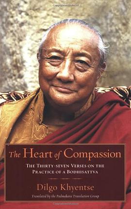 The Heart of Compassion pdf epub mobi 電子書 下載