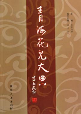青海花儿大典 pdf epub mobi 电子书 下载
