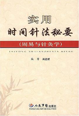 实用时间针法秘要 pdf epub mobi 电子书 下载