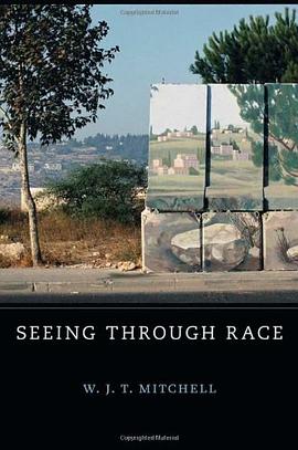 Seeing Through Race pdf epub mobi 電子書 下載