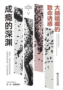 成癮的深淵 pdf epub mobi 電子書 下載