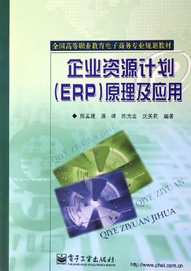 企业资源计划 pdf epub mobi 电子书 下载