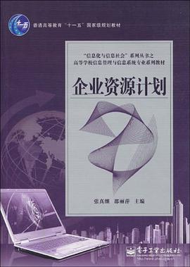 企业资源计划 pdf epub mobi 电子书 下载