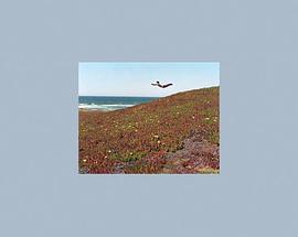 Flying Pictures pdf epub mobi 电子书 下载