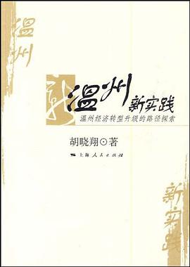 温州新实践 pdf epub mobi 电子书 下载