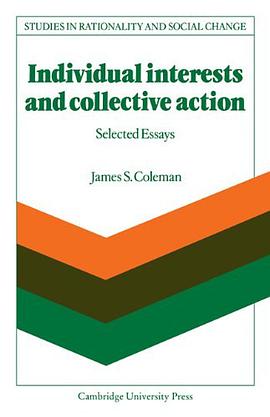 Individual Interests and Collective Action pdf epub mobi 电子书 下载