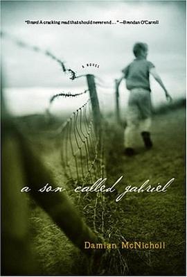 A Son Called Gabriel pdf epub mobi 电子书 下载