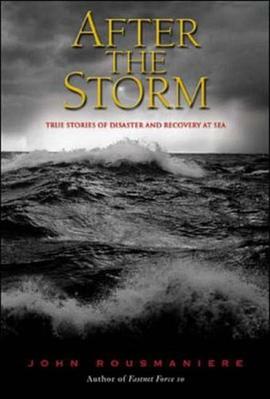 After the Storm pdf epub mobi 电子书 下载