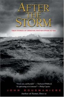 After the Storm pdf epub mobi 电子书 下载