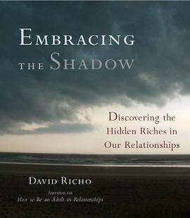 Embracing the Shadow pdf epub mobi 下载
