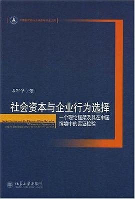 社会资本与企业行为选择 pdf epub mobi 电子书 下载